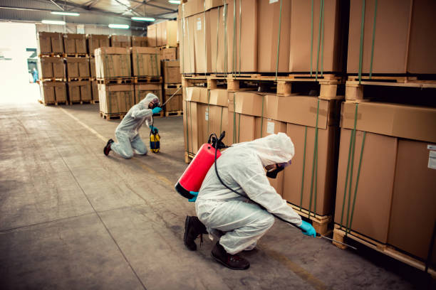 Trusted Iowa Colony, TX Pest Control Experts