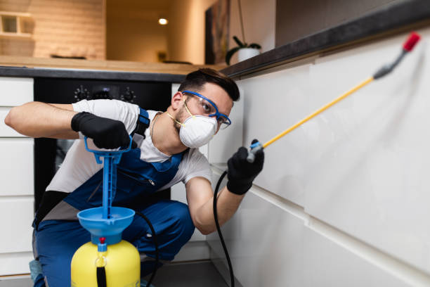 Best Exterminator Services  in Iowa Colony, TX