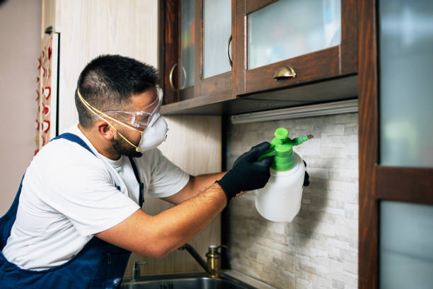 Best Best Pest Control Companies  in Iowa Colony, TX
