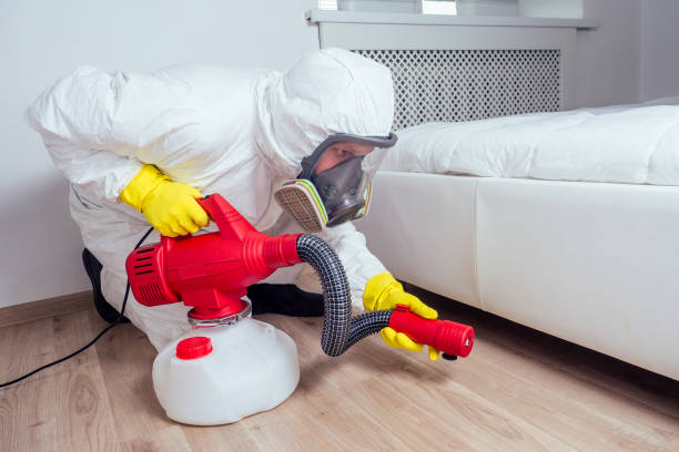 Best Pest Prevention Services  in Iowa Colony, TX