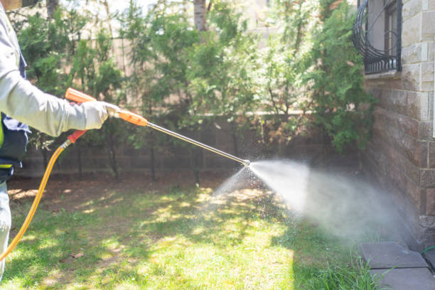 Best Emergency Pest Control  in Iowa Colony, TX