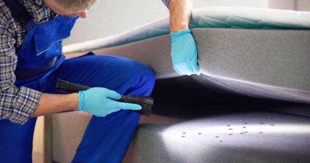 Best Pest Control Near Me  in Iowa Colony, TX