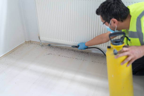 Best Local Pest Control Services  in Iowa Colony, TX