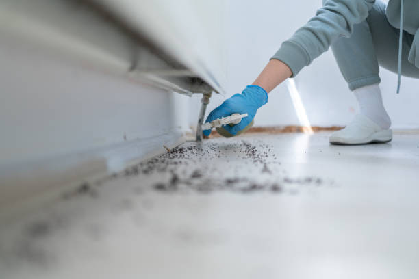 Best Exterminator Services  in Iowa Colony, TX